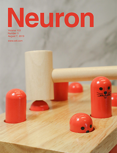 Neuron | Volume 103 Issue 3