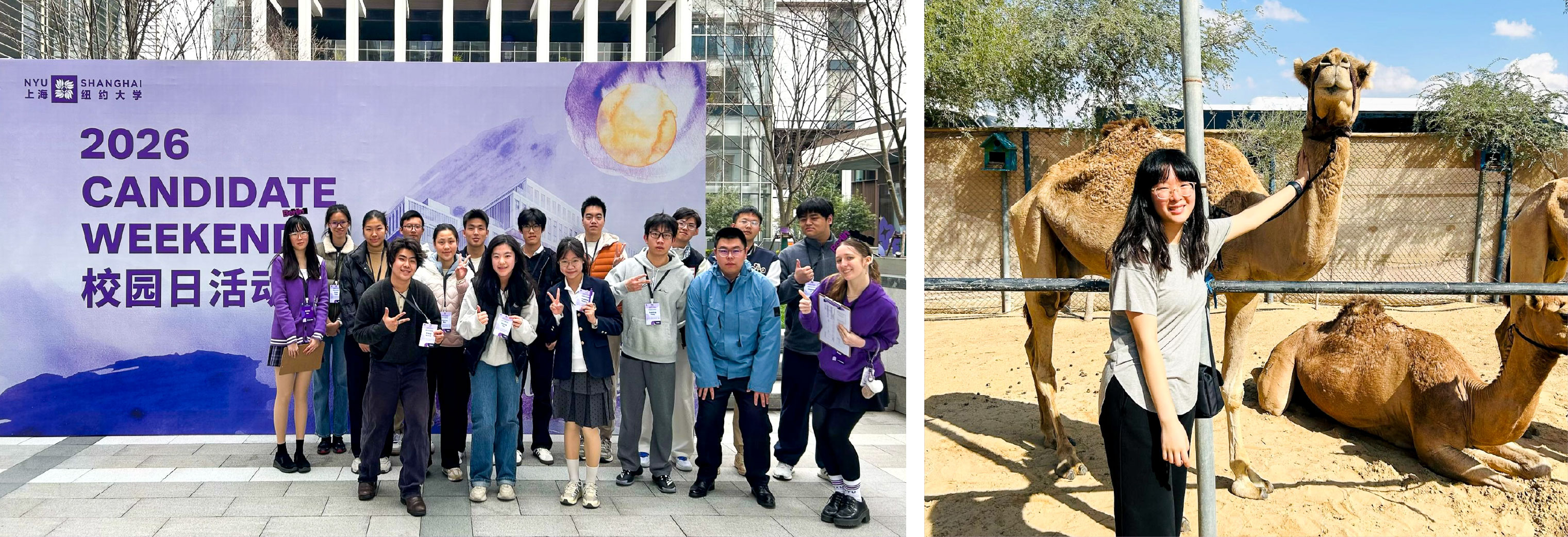 Left: Annie Qu and other student volunteers at 2026 Candidate Weekend. Right: Annie at a camel farm in 2025 during her study away at NYU Abu Dhabi.