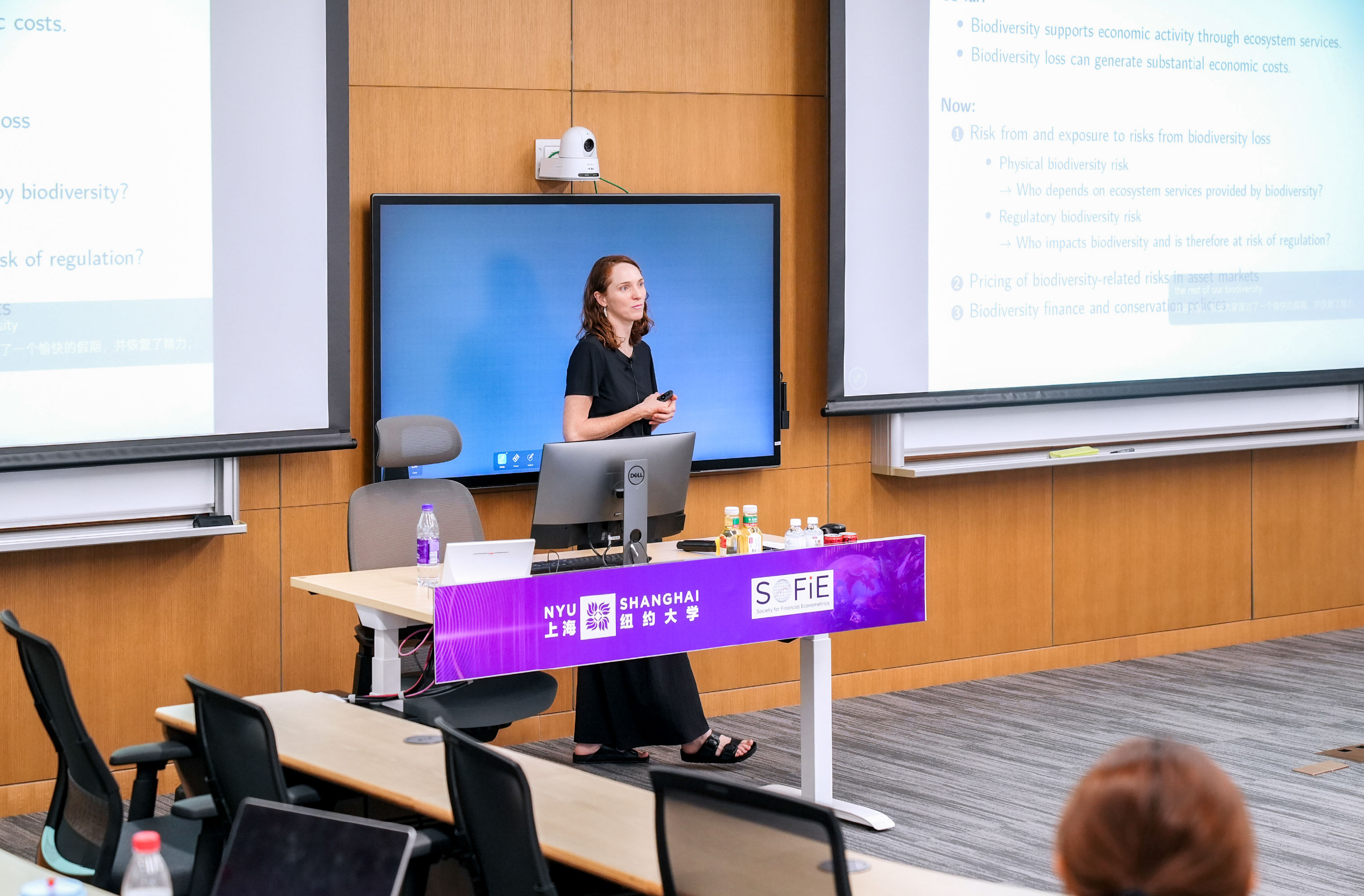 Professor Theresa Kuchler