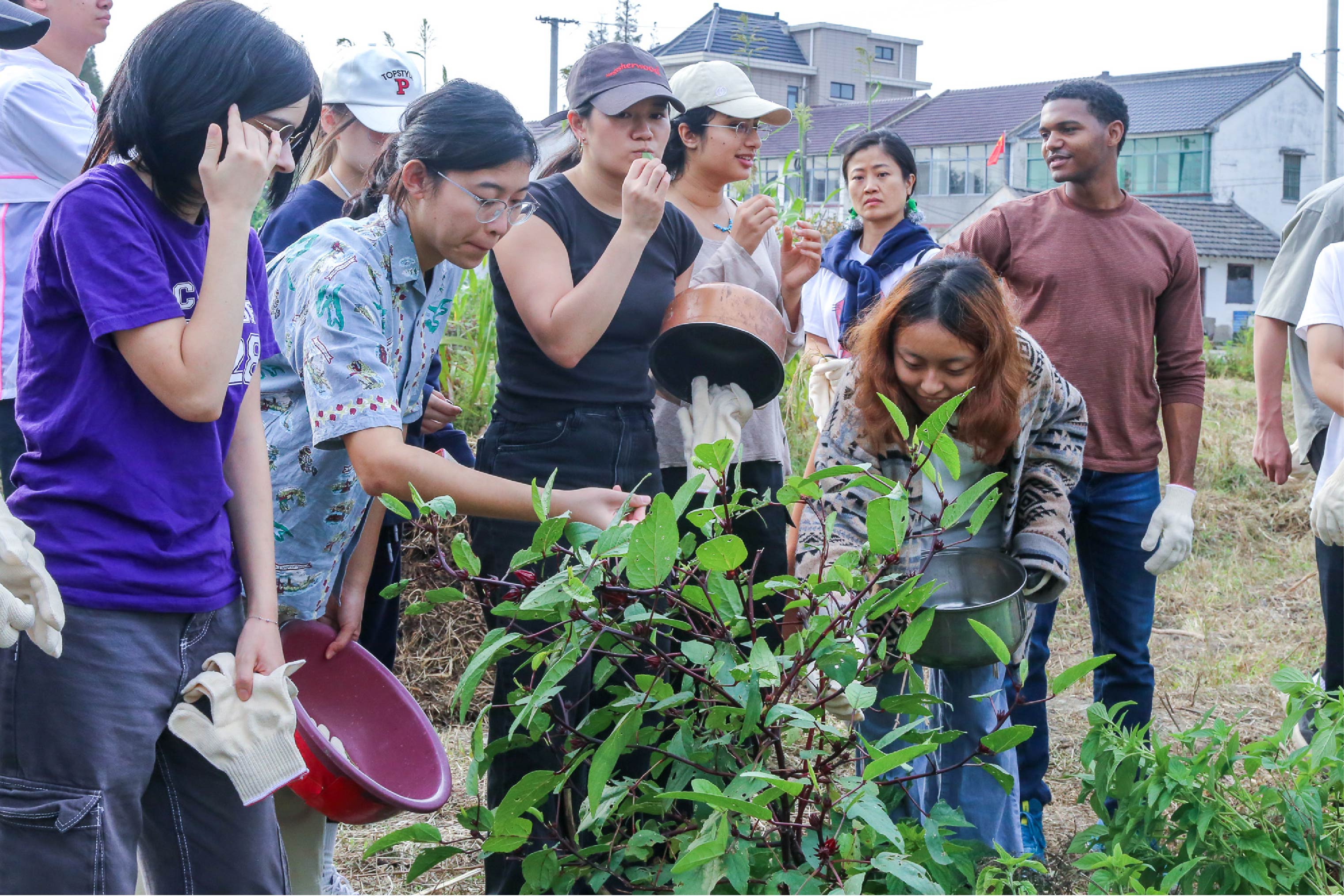 multiple people holding pots gather around a plant