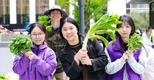 Student Wellness Initiatives
