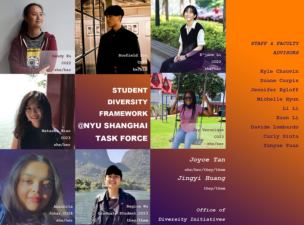 Student Diversity  Framework Task Force