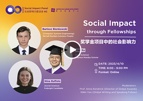 Social Impact through Fellowships 奖学金项目中的社会影响力