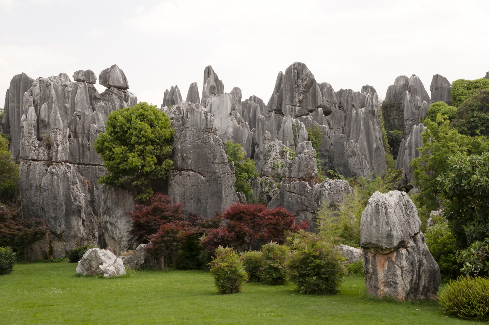 stone forests