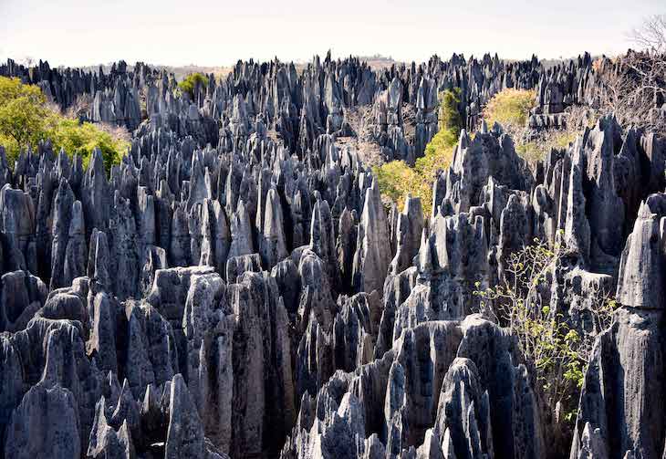Karst Limestone at Madagascar, Credit: Rod Waddington (flickr.com) 