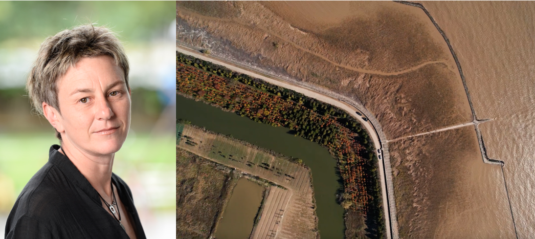 Greenspan, strip of farmed forest separates clear canal from muddy brown river