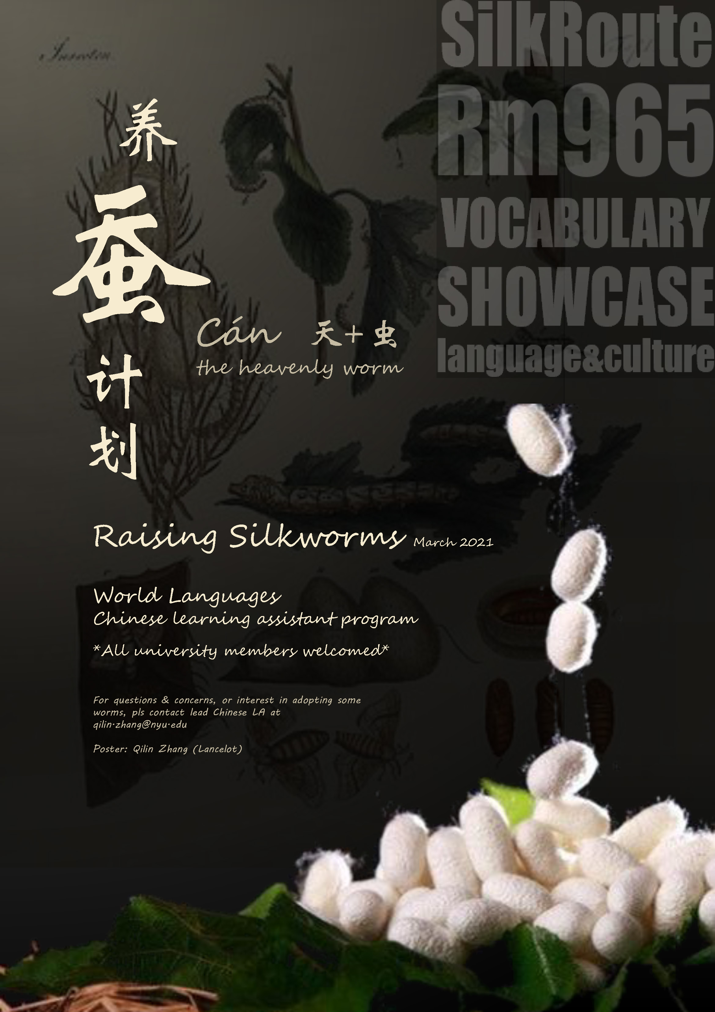 A poster sharing details about the silkworm project