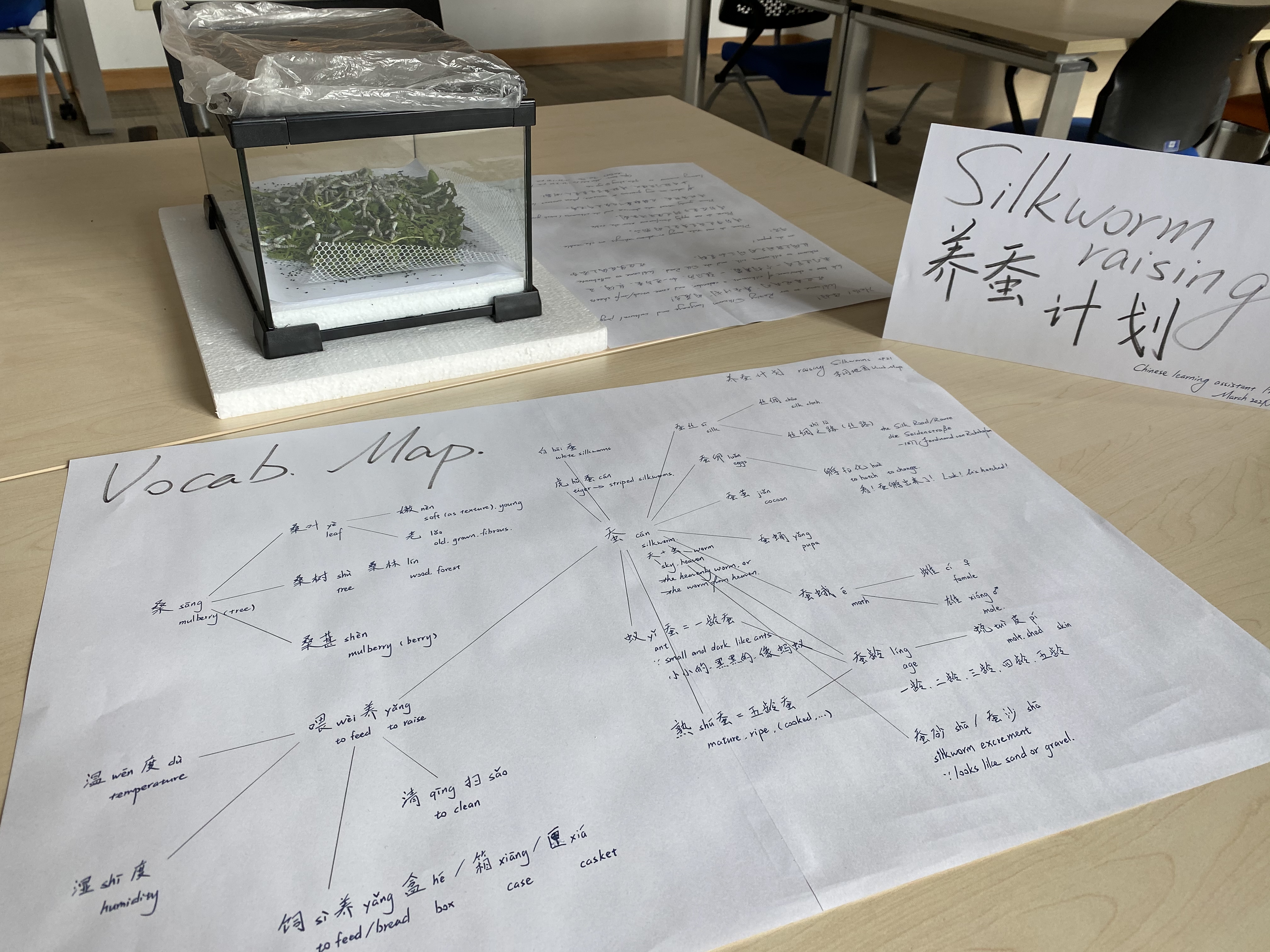 A handwritten vocab map with silkworm vocabulary. 