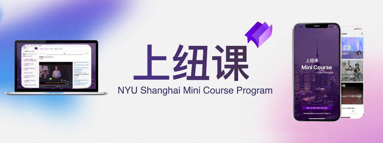 Mini Course