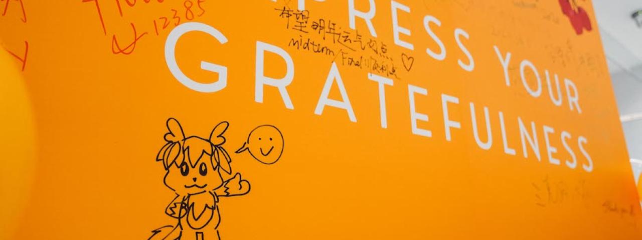 gratitude