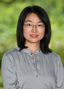 Senior Language Lecturer of Chinese, NYU Shanghai