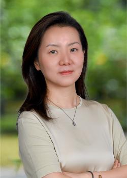 Associate Area Head of Economics, Professor of Practice in Economics, NYU Shanghai