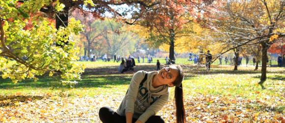 Fall foilage
