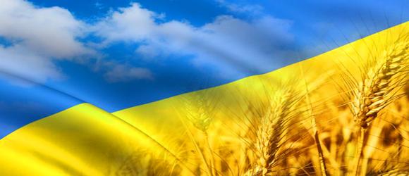 Blue sky and yellow crops