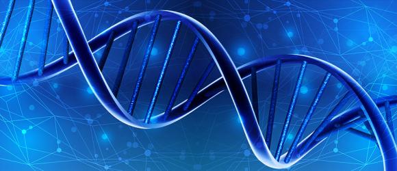 DNA strand