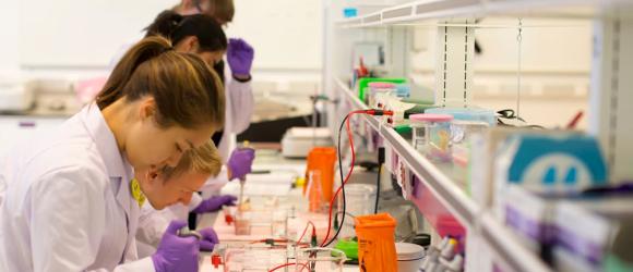 Students in a lab