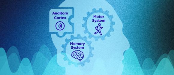 neuroscience