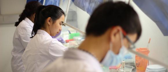 Students in the lab
