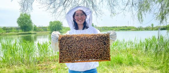 beekeeping-earth day banner