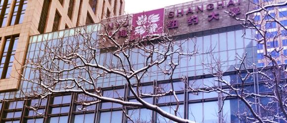 Snowy NYU Shanghai building
