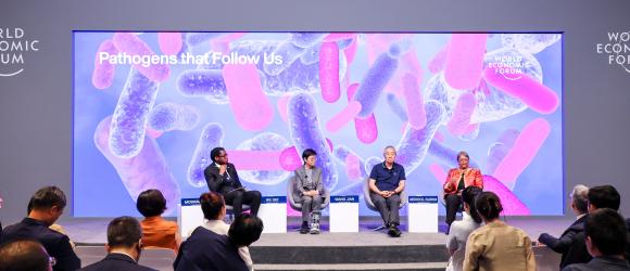 NYU Shanghai professors attending Summer Davos 2026