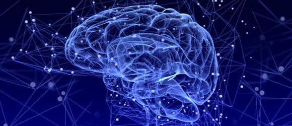 Illustration of a brain