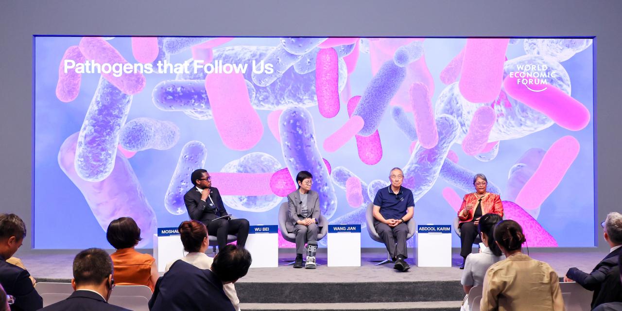 NYU Shanghai professors attending Summer Davos 2026