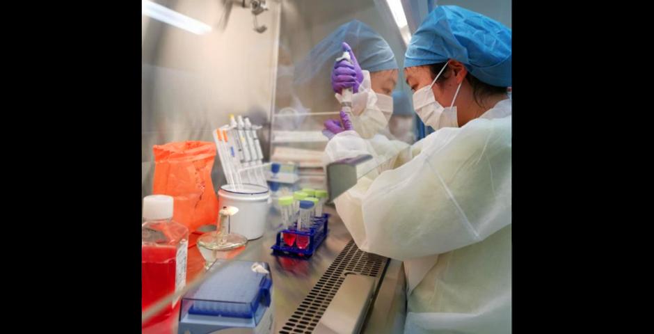 学生在生物安全柜内进行细胞培养。