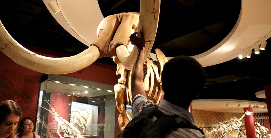 Students visit the Shanghai Natural History Museum at its new site in Jing’an Sculpture Park. April 26, 2015. (Photo by Diem Hang Pham)