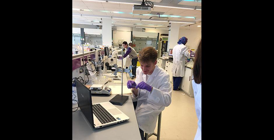 Foundations of Science Chemistry students present their two-month findings on crystal growth. May 12, 2015.