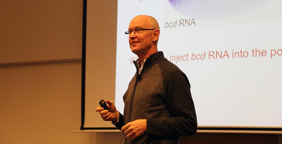 Professor Stephen Small discussed the molecular mechanisms in gene expression for the fruit fly Drosophila on February 17. (Photo by: Xinyi Xu)