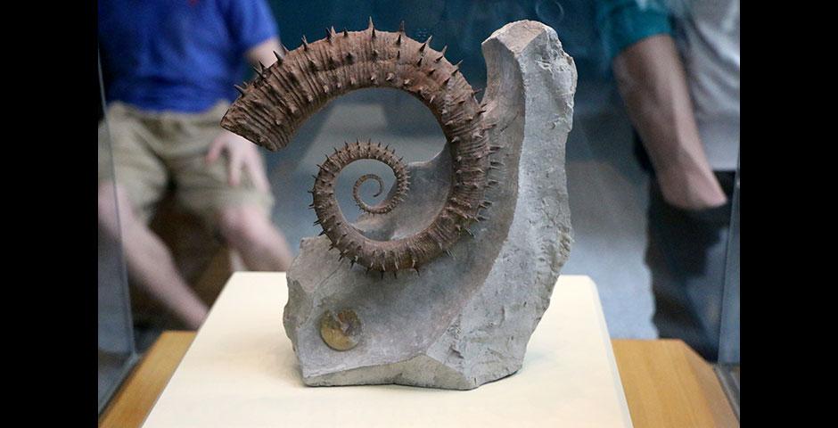 Students visit the Shanghai Natural History Museum at its new site in Jing’an Sculpture Park. April 26, 2015. (Photo by Diem Hang Pham)