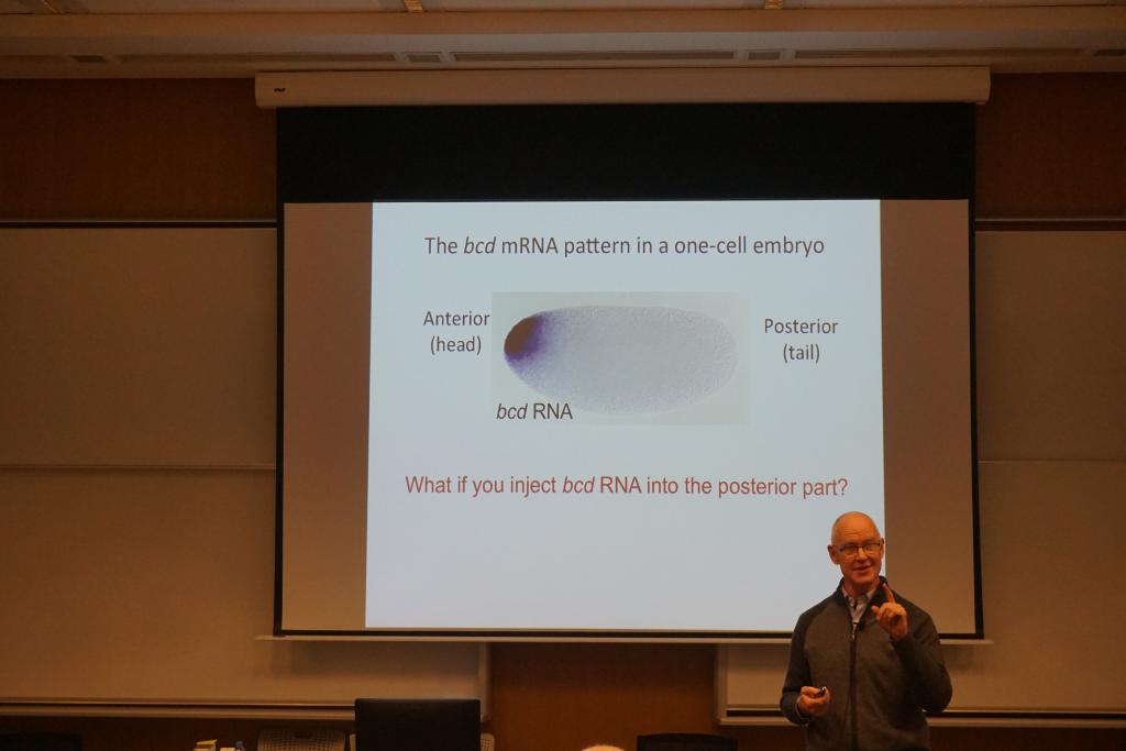 Professor Stephen Small discussed the molecular mechanisms in gene expression on February 17. (Photo by: Miki (Bin) Xue)