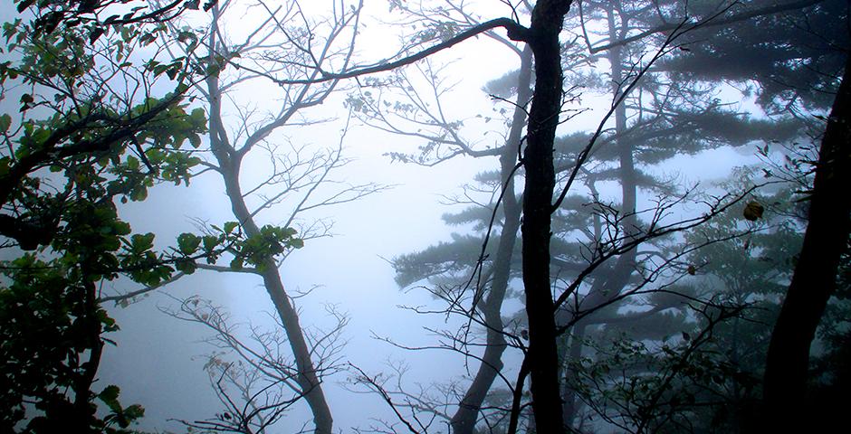 Huangshan Trip, October 2, 2014. (Photo by Angy Aguilar)