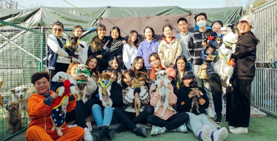 Cleaning up marine debris, caring for rescue animals, and learning about the lives of the visually impaired were some of the ways  that NYU Shanghai students spent last week’s Thanksgiving holiday. These community service trips were organized by the Dean’s Service Corps (DSC) in partnership with nonprofits and NGOs around Shanghai.