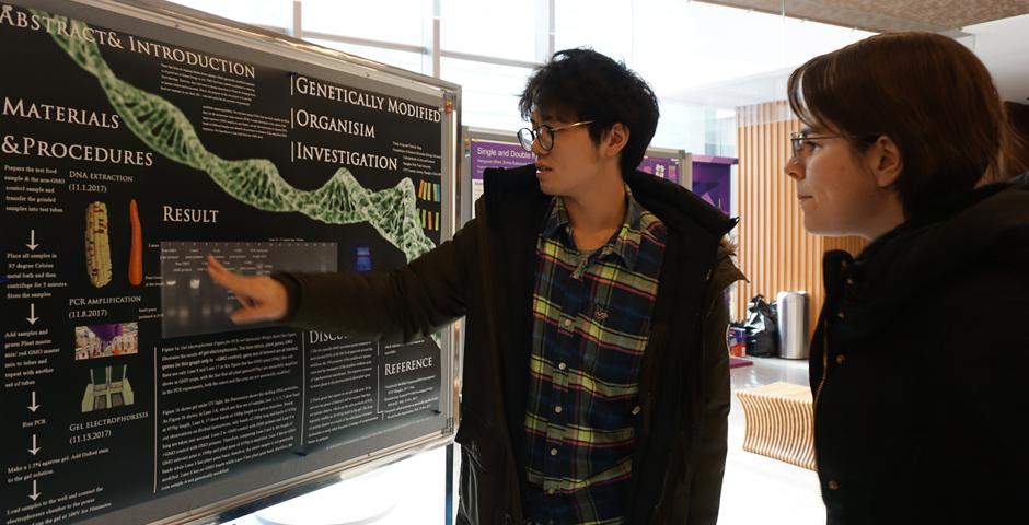 On December 6-7, nineteen students presented their work at the Molecular Biology Lab poster symposium in the 2F Cafe. The theme of this year was DNA editing, with a focus on Genetically-Modified Organism(GMO) Detection and Restriction Enzyme Digestion. Many students investigated whether fruit or vegetable samples were genetically modified or not by using the application of PCR and electrophoresis. （Photo by: NYU Shanghai）