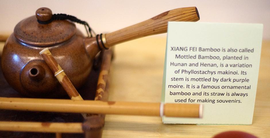 春来品茶正当时。4月13日，由上海纽约大学学生健康中心主办，Food and Festival学生社团负责人Haider Ali发起的品茶会，特邀茶艺大师徐先生，带领中外学生鉴赏茶具， 体验茶道程序和礼仪，并感受各种香茗中蕴含的文化和韵味。（摄影： NYU Shanghai）