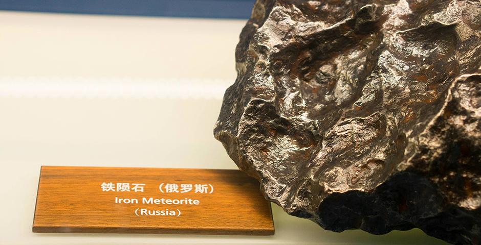 Foundation of Science students explored the Shanghai Natural History Museum, on a visit led by Professor David Fitch on May 17, and, earlier in the month, presented their Crystal Project work with instructors Lu Zhang, Wenshu Li and Lin Jin. (Photos by: NYU Shanghai)