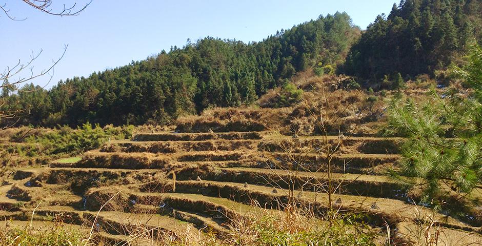 Upon returning to our village after a long hike, we came across this swatch of terraced farming. Because of the village’s remote location, the local people must grow or gather their own food. (Photo by: Annie Seaman)