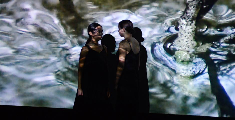 Students Janice Luo and Isabel Adler merge performance art with projection art. (Photo by: Michael Shi and Charlie Wang)