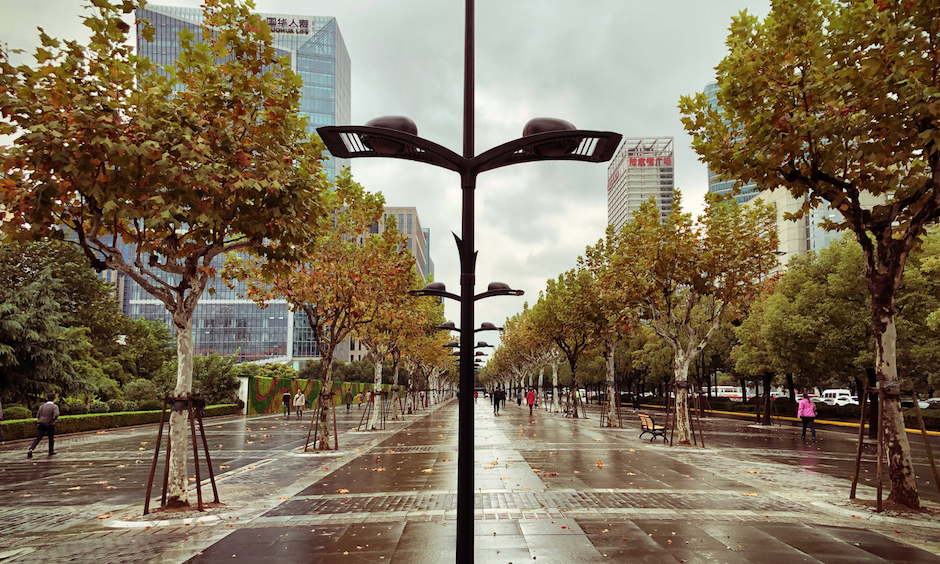 November 8:  Starting to feel like fall on Century Avenue.