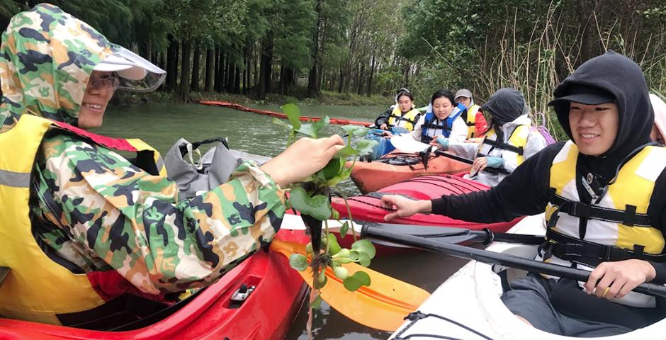 During the overnight trip to Cenbu Village in the Qingpu district, about 66 kilometers west of NYU Shanghai, students explored local waterways by kayak. Trip leader Shen (in camouflage coat) stopped the group many times to introduce different species such as water hyacinth (above) and point out the effects of pollution on the natural environment. Photo by Anita Aravena ’25