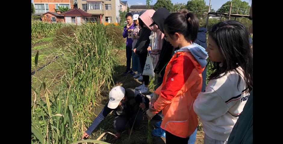The group concluded their weekend with a visit to the organic Miu-er farm which grows tomato, green pepper, hyacinth bean, and cucumber. Ecologist and farm owner Kang Hongli (in white cap, above) introduced students to her farming methods and the ecosystem of the organic farmt. For Shen Jiacheng ’25, a native of Chongqing, the visit to Miu-er was his first close encounter with organic agriculture and impressed upon him the effect agriculture had on the broader ecosystem.