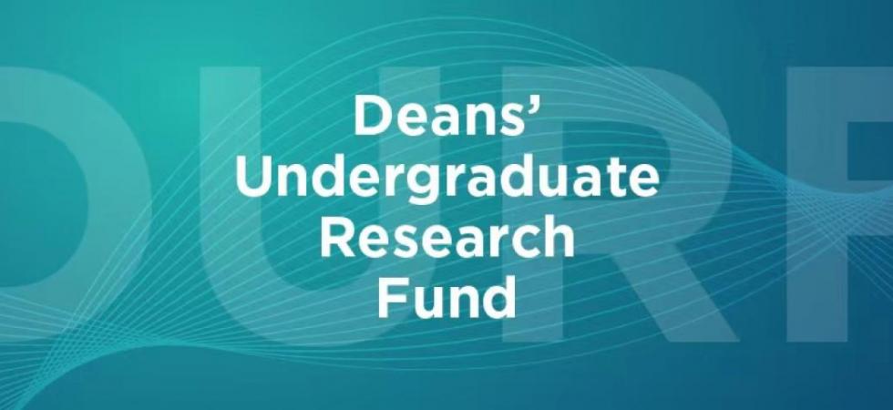 dean's undergraduate research fund nyu