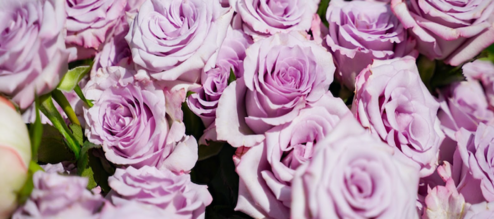 womensday