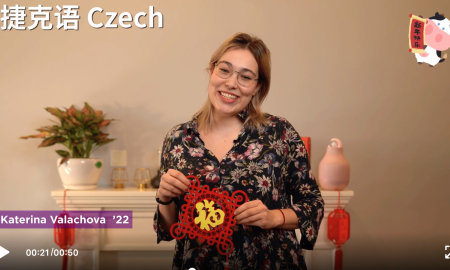 cny vid