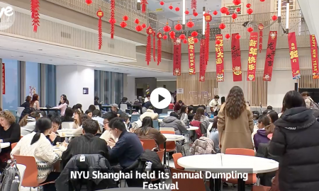 dumpling fest