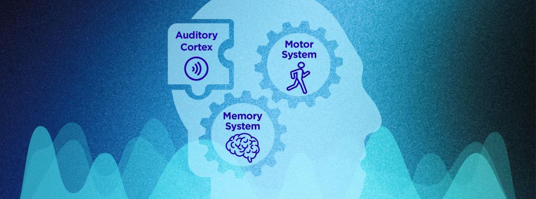 neuroscience