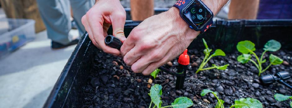 getting their hands dirty
