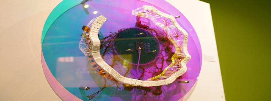 Learning to Play, Playing to Learn: NYU Shanghai Hosts 2021 New